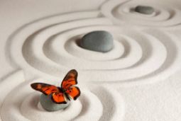 Зачем нужны аскезы и при каких показателях в карте они больше рекомендованы?