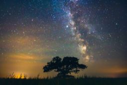 Описание функций в разделе «Натальная карта»