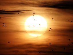 Что такое "Соляр" и зачем он нужен?