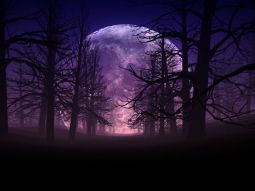 Полнолуние 8 декабря в Тельце