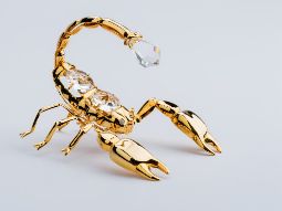 Солнце в Скорпионе