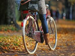 Рождённые в ноябре, особенности личности.