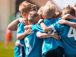 В какие спортивные секции отдавать детей. Как определить по карте?