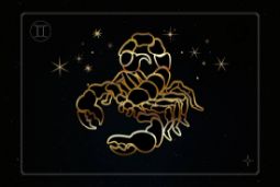 Дети Скорпионы.