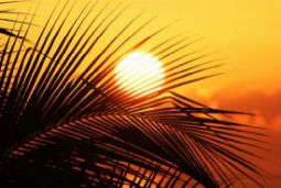 5 главных указаний на переезд в Соляре