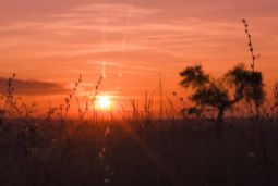 20 марта. День весеннего равноденствия