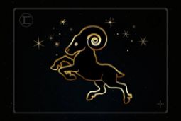 Дети Козероги.