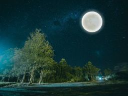 Сколько Накшатр одновременно характеризует человека и какая накшатра – главная в карте?